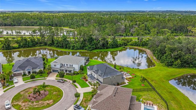 33668 Willow Point Ct, House other with 5 bedrooms, 4 bathrooms and null parking in WESLEY CHAPEL FL | Image 82