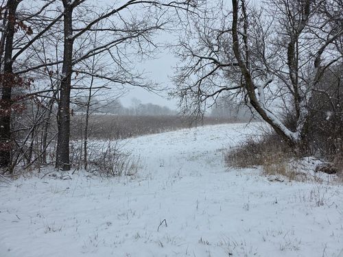 0 Riggle Rd, Bellville, OH, 44813 | Card Image