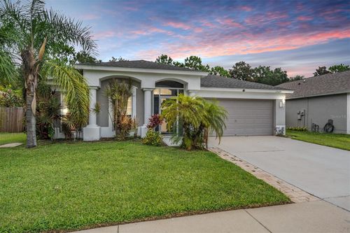 13221 Evening Sunset Ln, RIVERVIEW, FL, 33579-9611 | Card Image