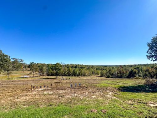 TBD S Cr 314, Laneville, TX, 75667 | Card Image