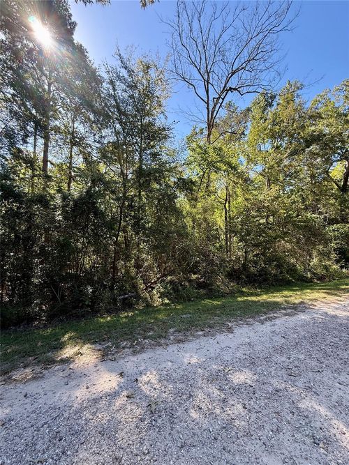 N/a Lot 5 Golden Leaf, Livingston, TX, 77351 | Card Image