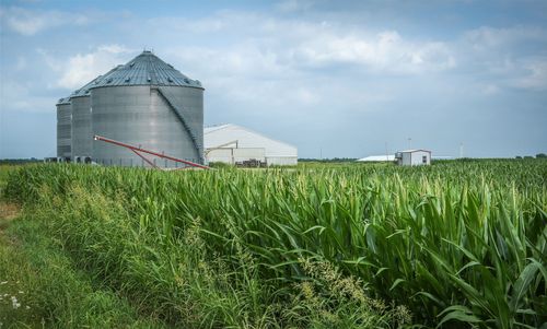 300 Pr 14030, Blossom, TX, 75416 | Card Image