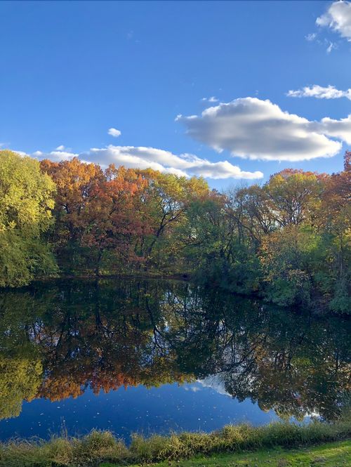 8717 Demontreville Trl N, Lake Elmo, MN, 55042-9555 | Card Image