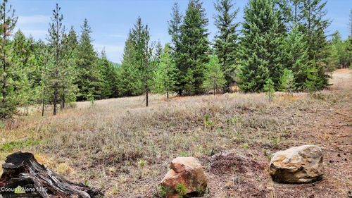 1571 Stone Rd, Blanchard, ID, 83804-9595 | Card Image