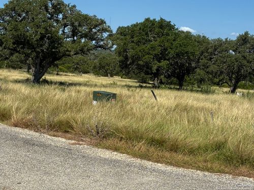 62 Nw S Walcott Ridges Drive, Harper, TX, 78631 | Card Image