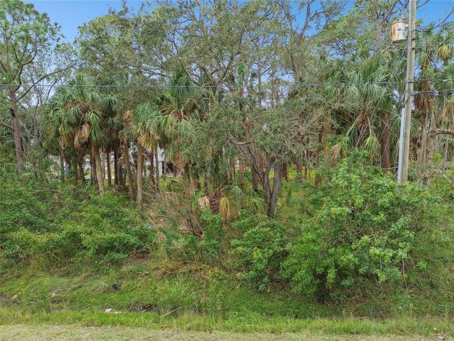 00 Phoenix Ave, Home with 0 bedrooms, 0 bathrooms and null parking in OLDSMAR FL | Image 20