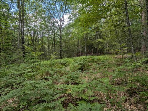 A 66 Burton Highway, Wilton, NH, 03086 | Card Image