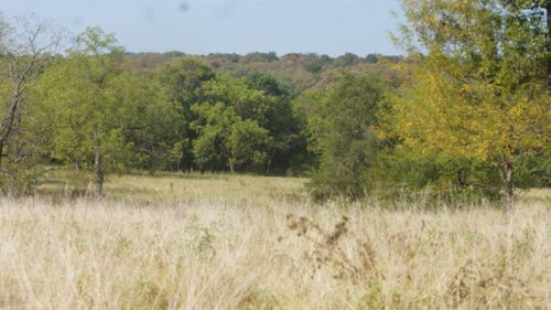 TBD Shiloh Road, Ash Flat, AR, 72513 | Card Image