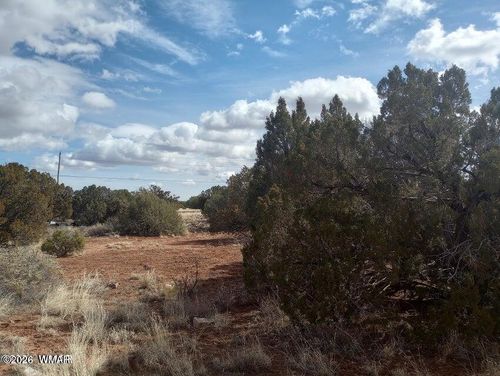 3958 Apache Rd, Snowflake, AZ, 85937-5864 | Card Image