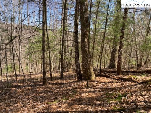 TBD Forest Hill Dr, Sparta, NC, 28675 | Card Image