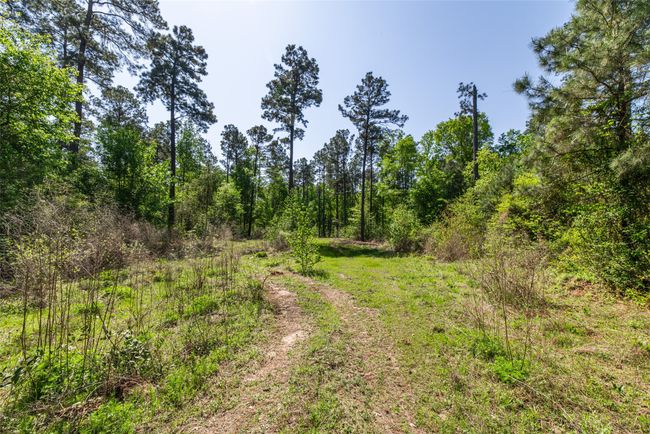 1 County Rd, Home with 0 bedrooms, 0 bathrooms and null parking in Leesburg TX | Image 21