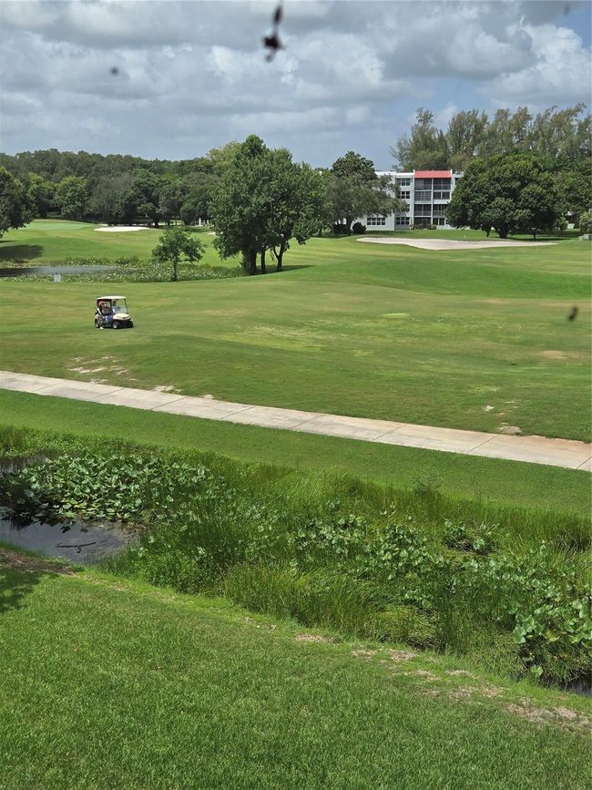 Your View From Your Windows Overlooking Golf Course | Image 57