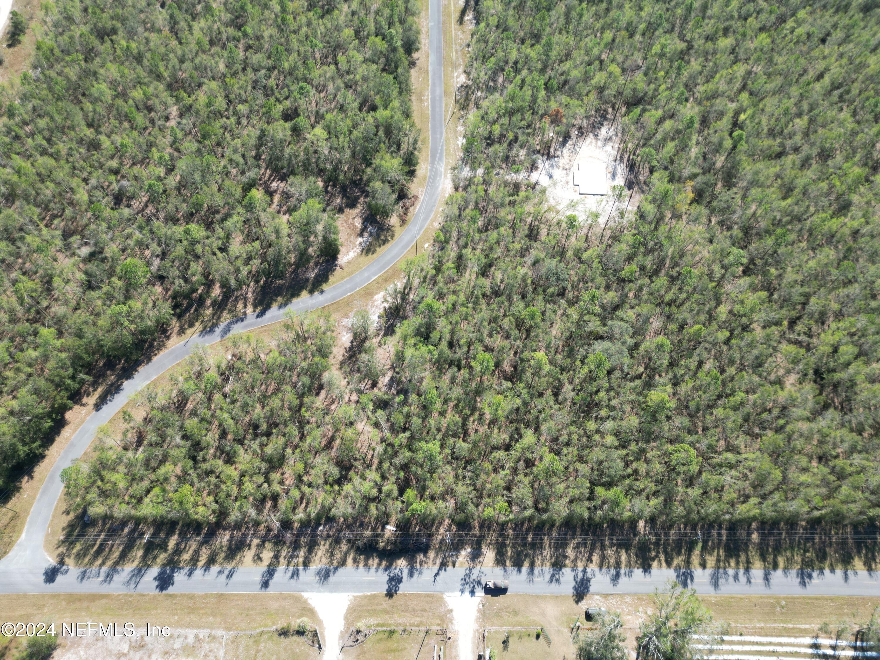 Land in Live Oak