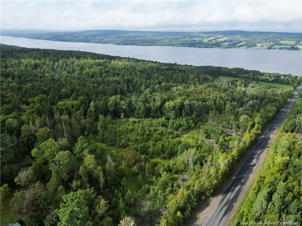 Land in Prince William 3