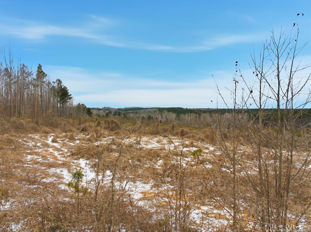 Land in Brodnax 4