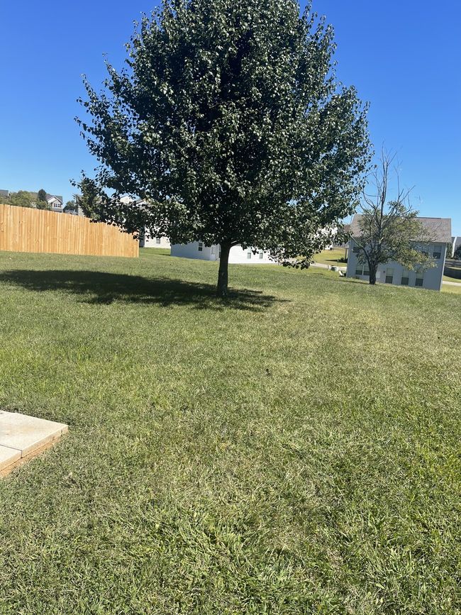 3037 Commonwealth Dr, House other with 4 bedrooms, 3 bathrooms and 4 parking in Spring Hill TN | Image 28