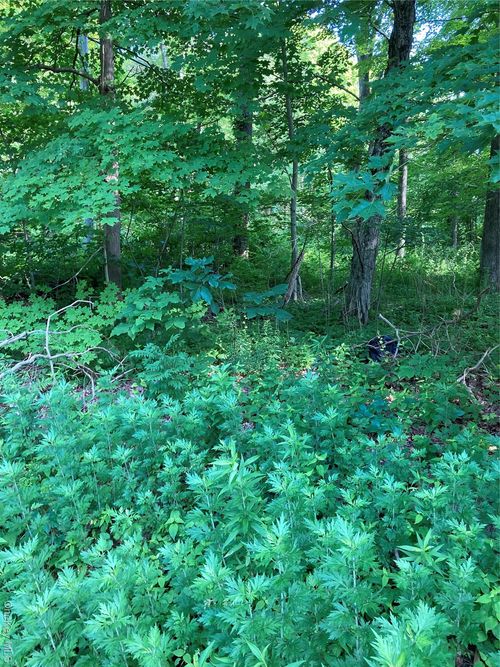 15 Adam Wagner Ln, Mahopac, NY, 10541-2401 | Card Image