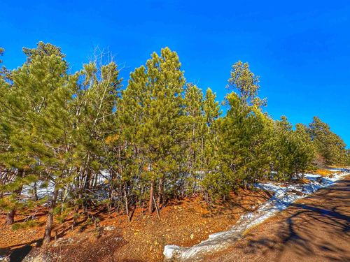 TBD Last Chance Trl, Lead, SD, 57754 | Card Image