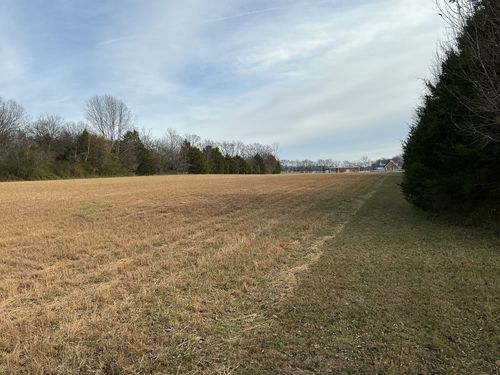0 Three Forks Bridge Rd, Wartrace, TN, 37183 | Card Image