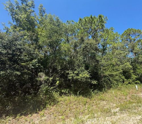 2 Ramsay Way, Panacea, FL, 32346 | Card Image