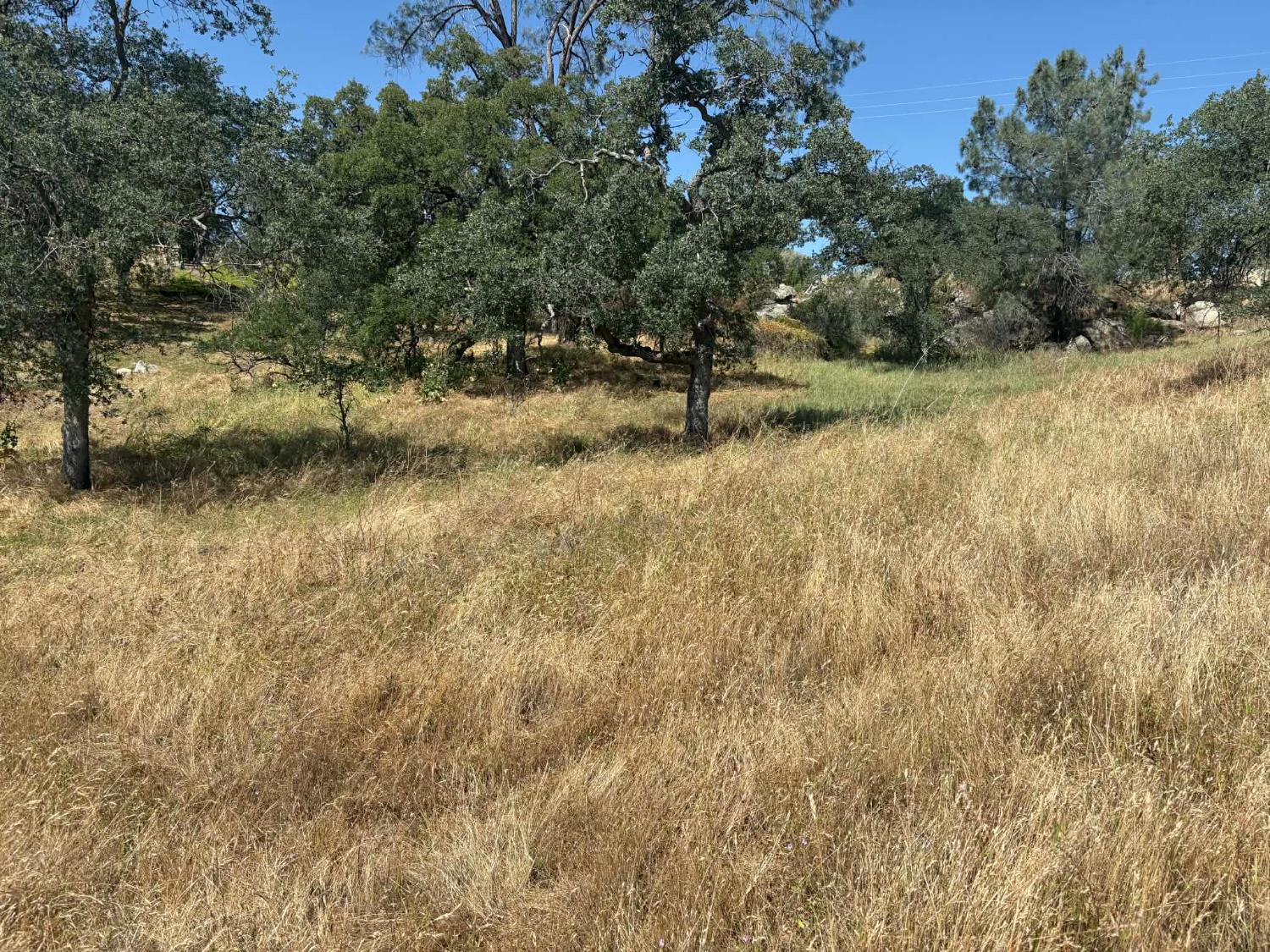 Land in Coarsegold 5