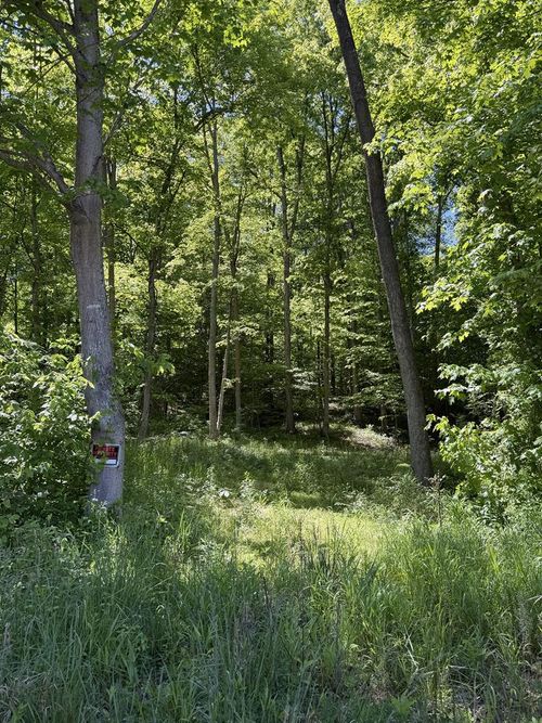 560 Sunfish Creek Road, Waverly, OH, 45690 | Card Image