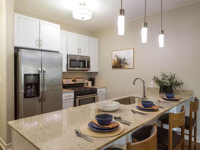 APT-321 - 255 N Addison Ave, Condo with 2 bedrooms, 2 bathrooms and 332 parking in Elmhurst IL | Image 4