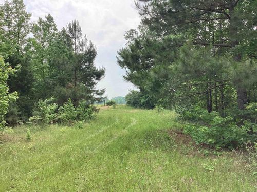 1006 Hempstead 24, Blevins, AR, 71825 | Card Image