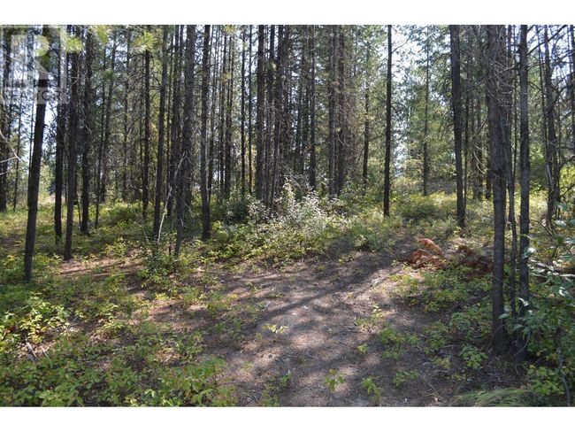 Lot 2 3 Rd St, Home with 0 bedrooms, 0 bathrooms and null parking in Kootenay Boundary BC | Image 16