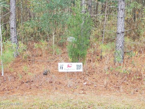 Lot 72 Eagle Nest Trail, Blounts Creek, NC, 27814 | Card Image