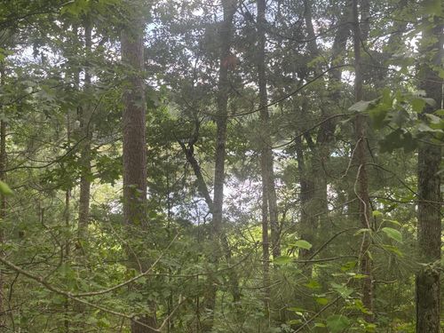 OFF Bennett Rd, Amberg, WI, 54102 | Card Image