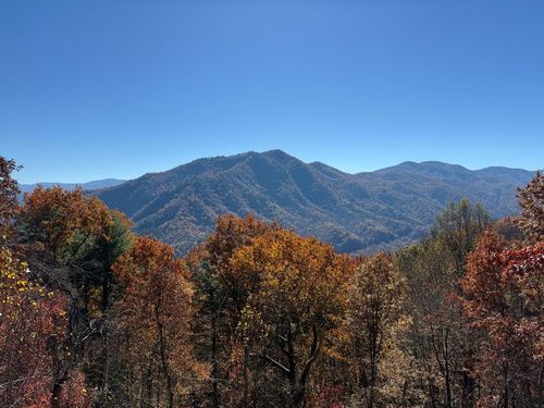 65 Acres Long Branch Rd, Topton, NC, 28781 | Card Image