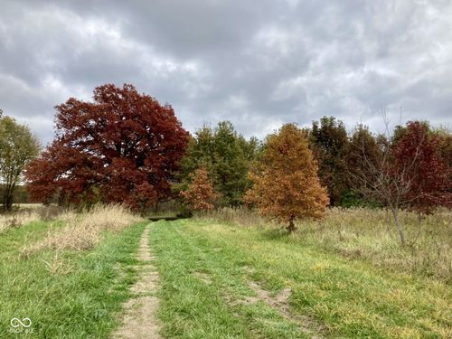 0 S Iron Mountain Rd, Bloomfield, IN, 47424 | Card Image