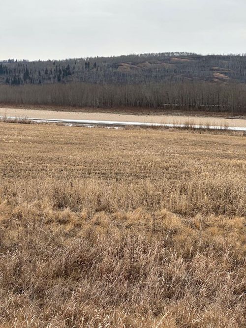 1-1-2121458 242a Range, Rural Birch Hills County, AB, T0H3R0 | Card Image