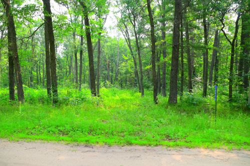 38970 Odin Ct, Browerville, MN, 56438 | Card Image