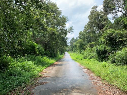 Lot 14 Bluebonnet St, Newton, TX, 75966 | Card Image