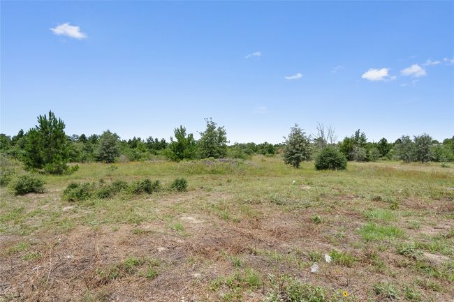 back yard with trees | Image 34