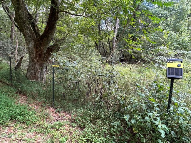 fencing around the property | Image 12