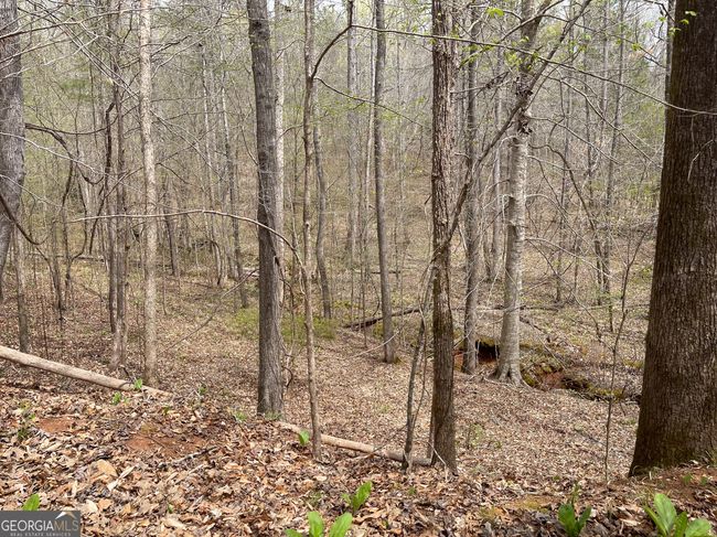 0 Green Oak Cir, Home with 0 bedrooms, 0 bathrooms and null parking in Thomaston GA | Image 23