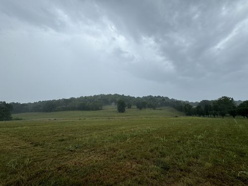 0 Wartrace Pike, Wartrace, TN, 37183 | Card Image
