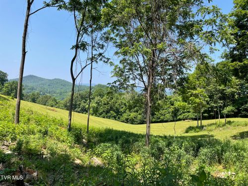 Tbd Lake Mist Trl, Butler, TN, 37640 | Card Image