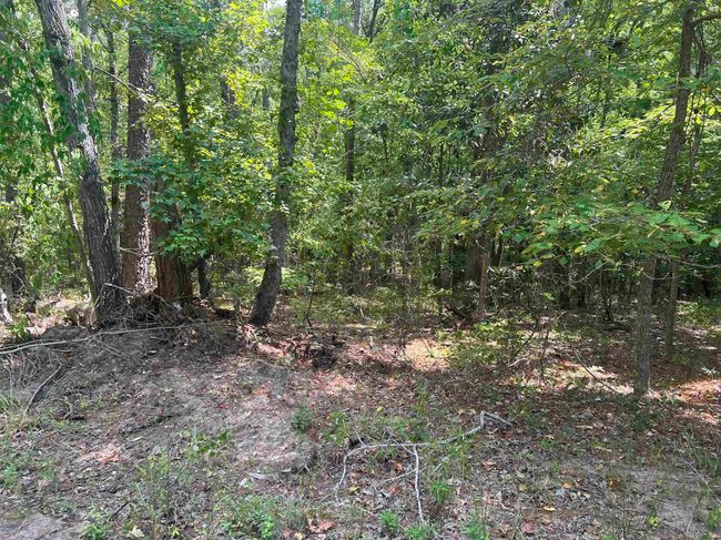 LOT-57 - 57 Shank Dr, Home with 0 bedrooms, 0 bathrooms and null parking in Brookeland TX | Image 6