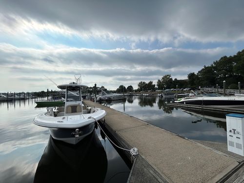 b-8-0 Caswell St, Milford, CT, 06461 | Card Image