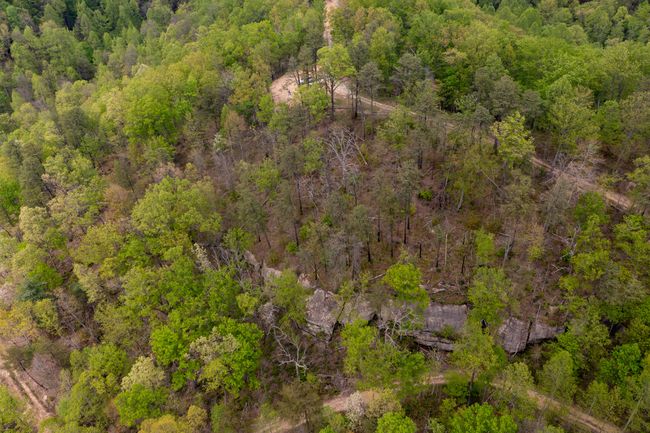 9999 Highway 52 E, Home with 0 bedrooms, 0 bathrooms and null parking in Beattyville KY | Image 4
