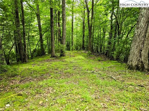 7 Brightwood Trl N, Deep Gap, NC, 28618 | Card Image