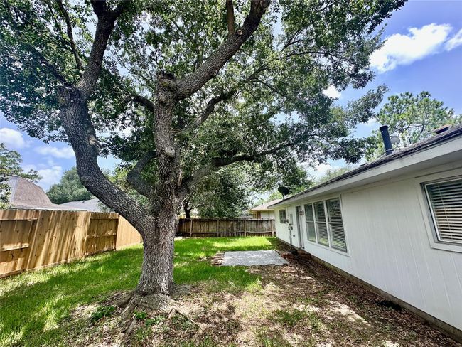 Shaded backyard | Image 33