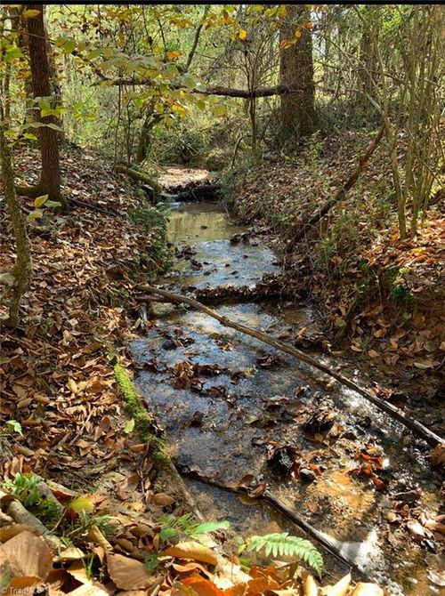 00 Seth Walsh Rd, Boomer, NC, 28606 | Card Image