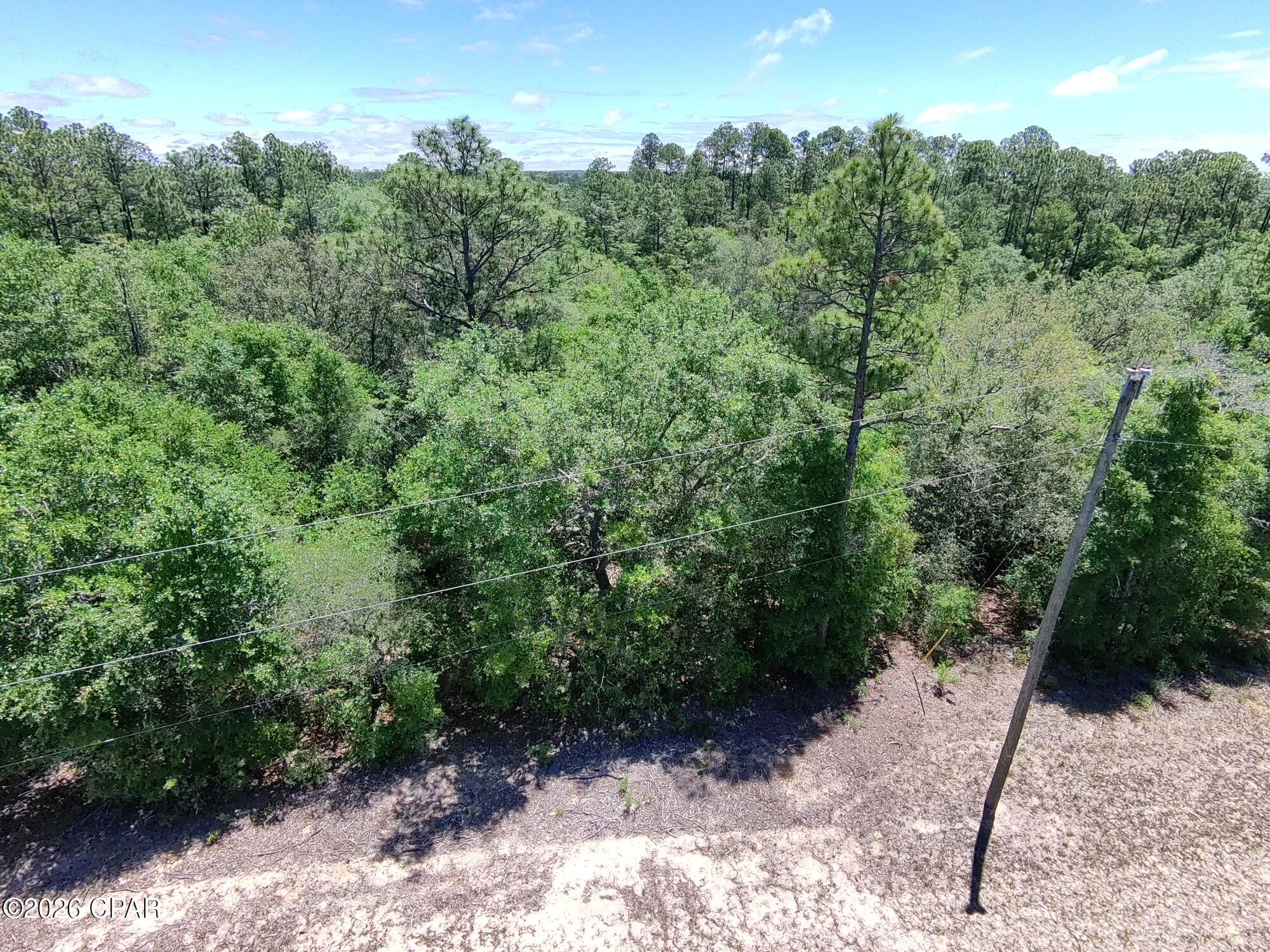 Land in Chipley 4