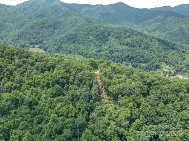 000 White Rock Branch Rd, Home with 0 bedrooms, 0 bathrooms and null parking in Candler NC | Image 21