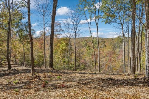 Tract 9 Off Of Sheep Ranch Road, Robbins, TN, 37852 | Card Image